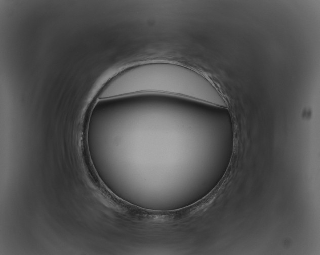 X0000094790056200711160926