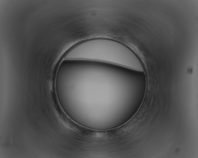 X0000094790060200711160926