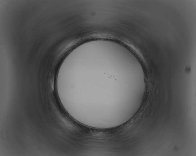 X0000094790062200711160926