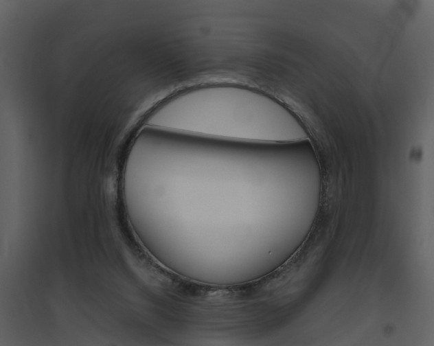 X0000094790064200711160926