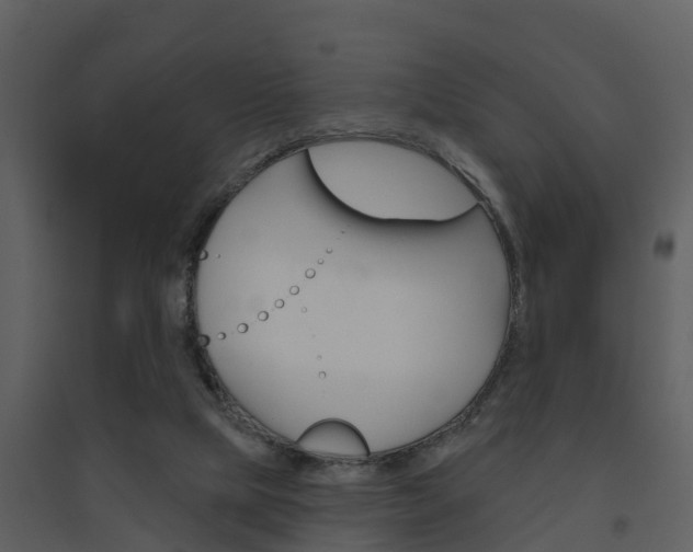 X0000094790065200711160926