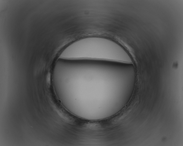 X0000094790067200711160926