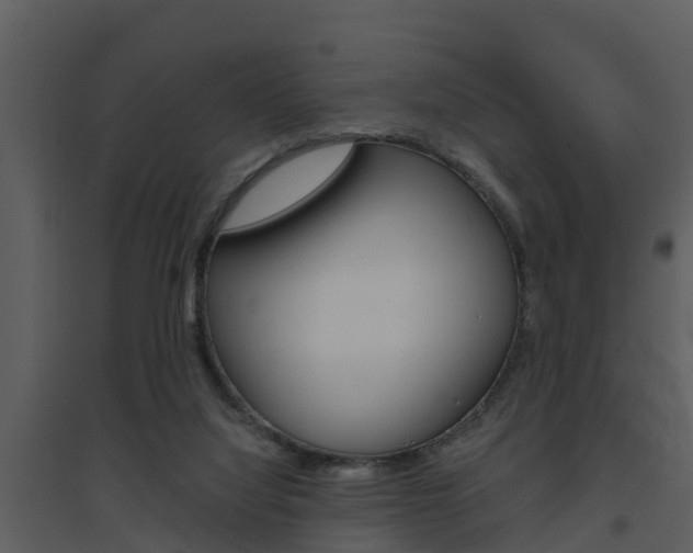 X0000094790068200711160926