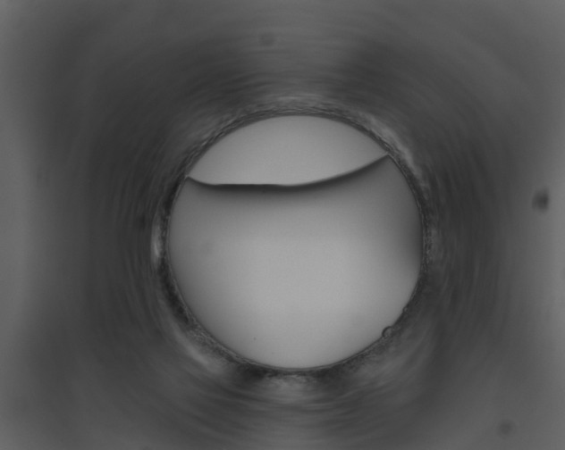 X0000094790069200711160926