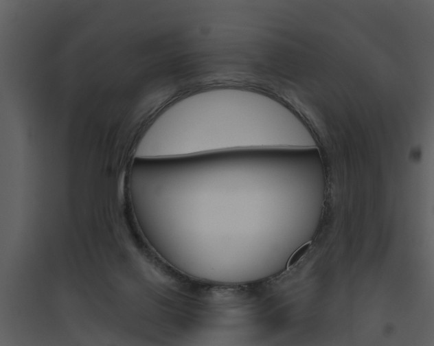 X0000094790070200711160926