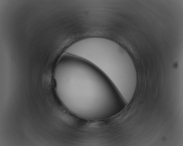 X0000094790072200711160926