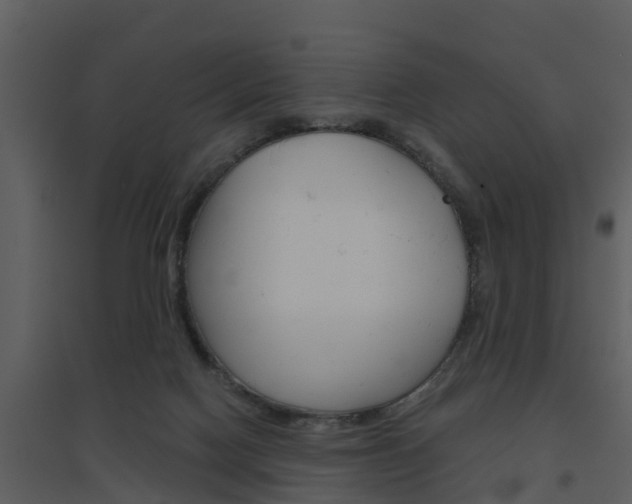X0000094790074200711160926