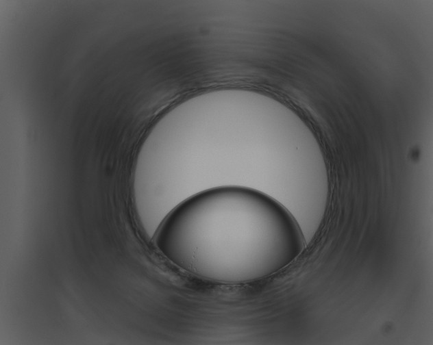 X0000094790076200711160926
