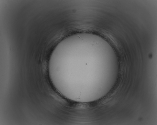 X0000094790077200711160926