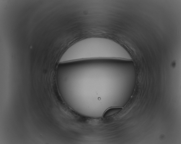 X0000094790079200711160926