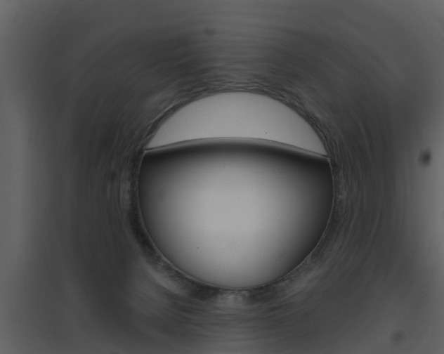 X0000094790080200711160926