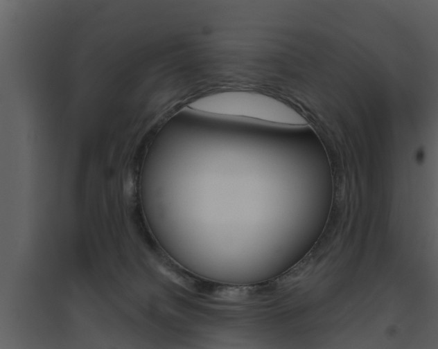 X0000094790084200711160927
