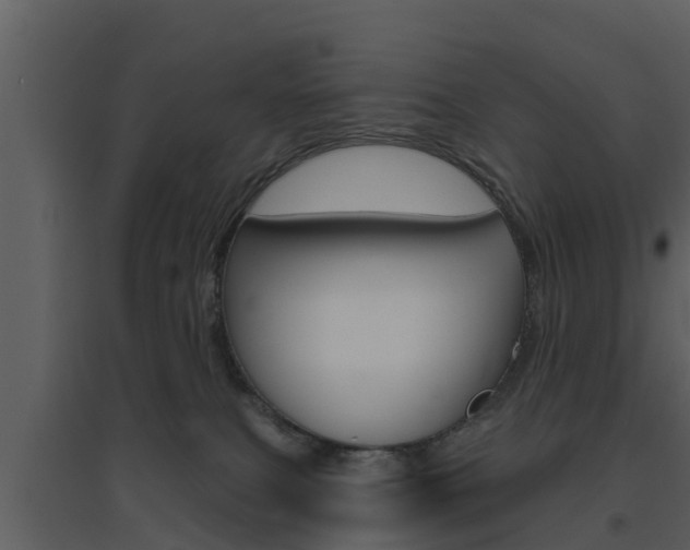 X0000094790087200711160927