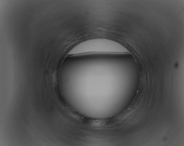 X0000094790088200711160927