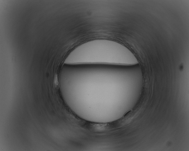 X0000094790089200711160927