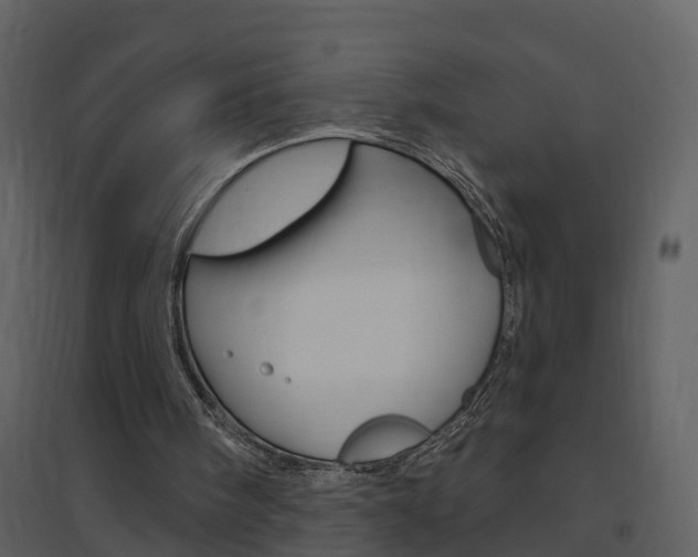 X0000094790098200711160926