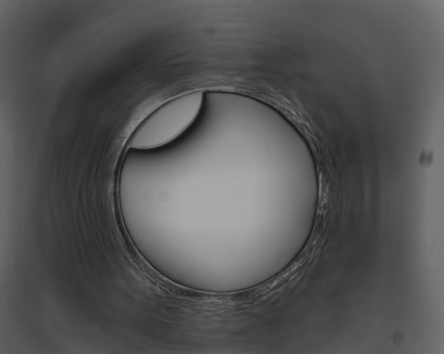 X0000094790099200711160926