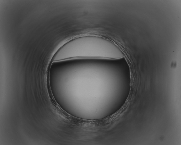 X0000094790100200711160926