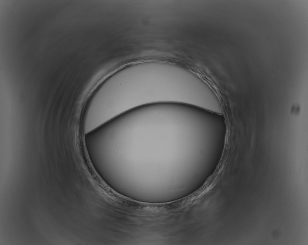 X0000094790101200711160926