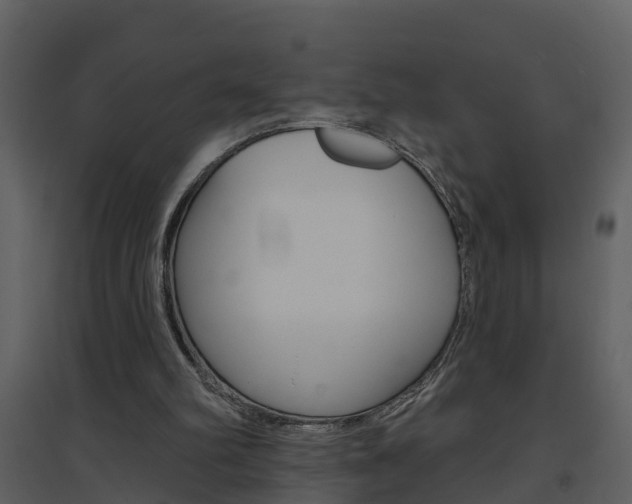 X0000094790102200711160926