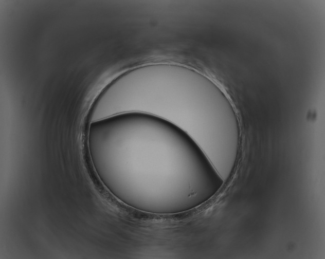 X0000094790103200711160926