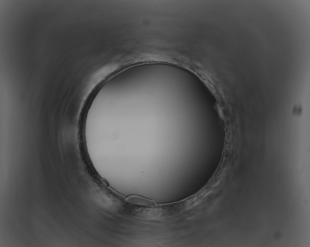 X0000094790104200711160926