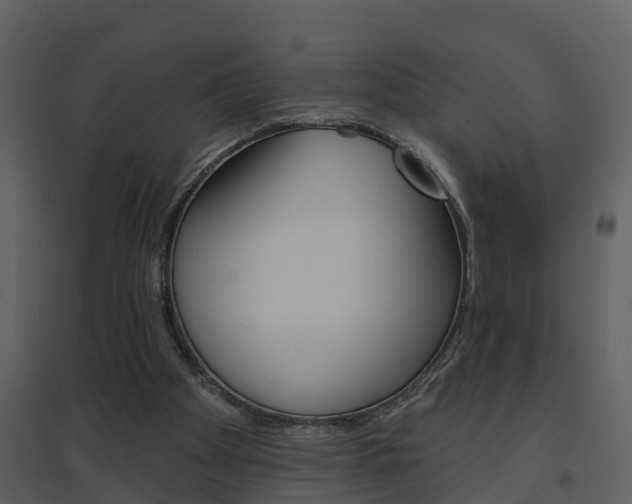 X0000094790105200711160926