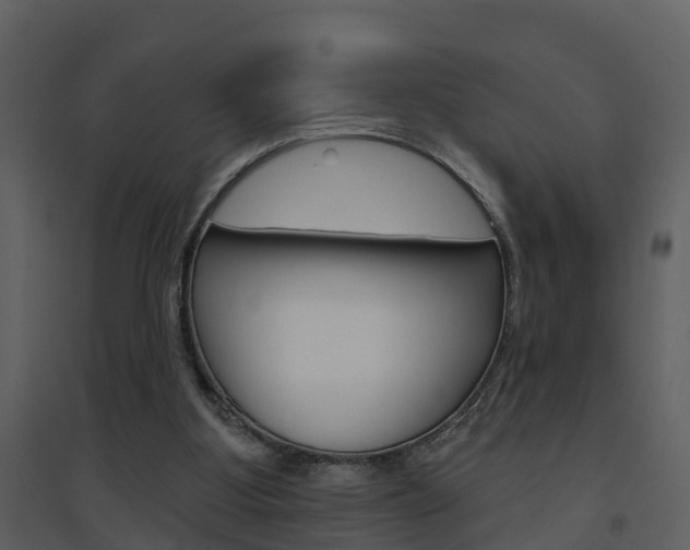 X0000094790107200711160926