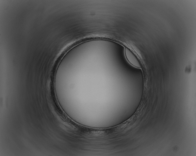 X0000094790108200711160926