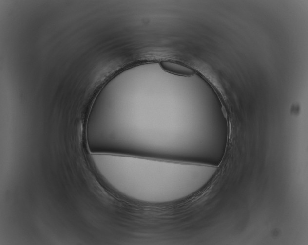 X0000094790109200711160926
