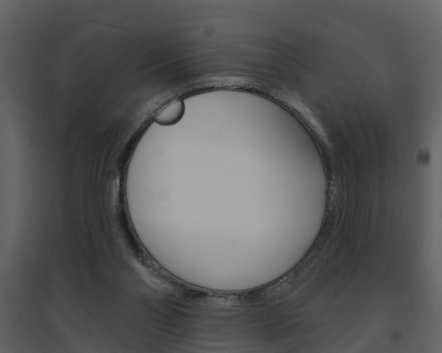 X0000094790110200711160926