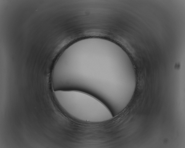 X0000094790111200711160926