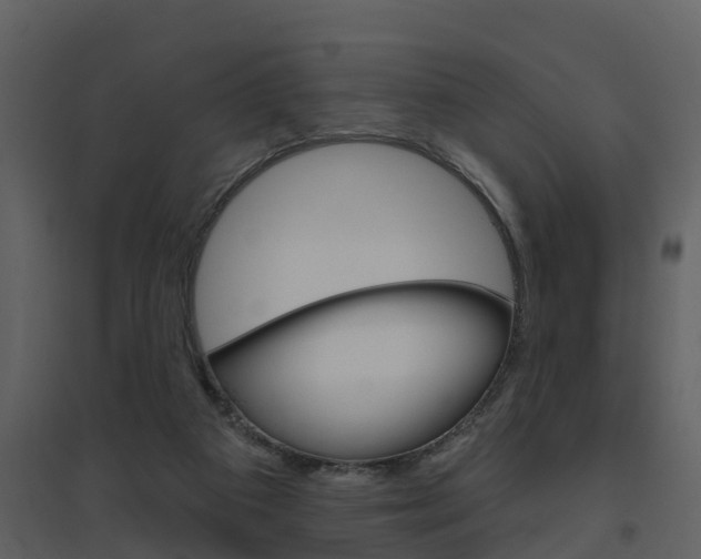 X0000094790113200711160926