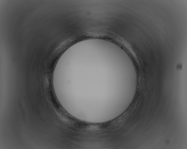 X0000094790114200711160926