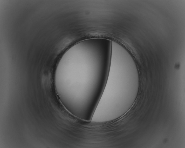 X0000094790116200711160926