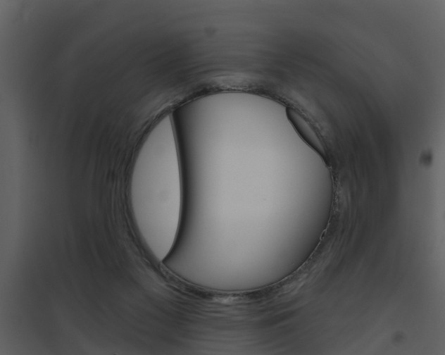 X0000094790117200711160926