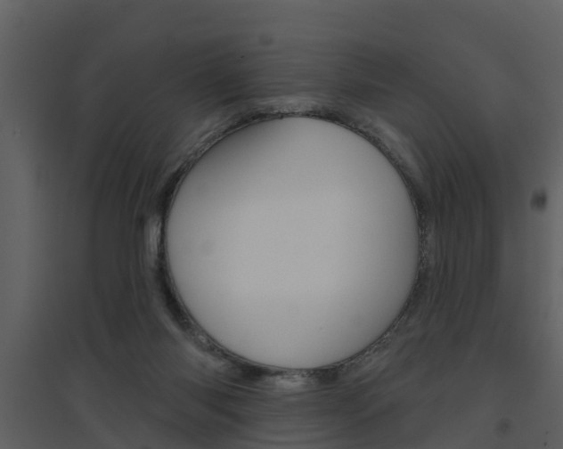X0000094790118200711160926