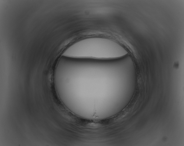 X0000094790119200711160926