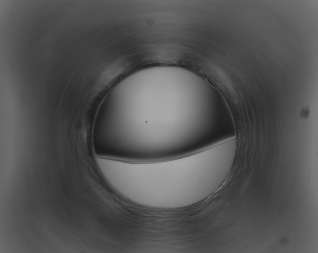 X0000094790120200711160926