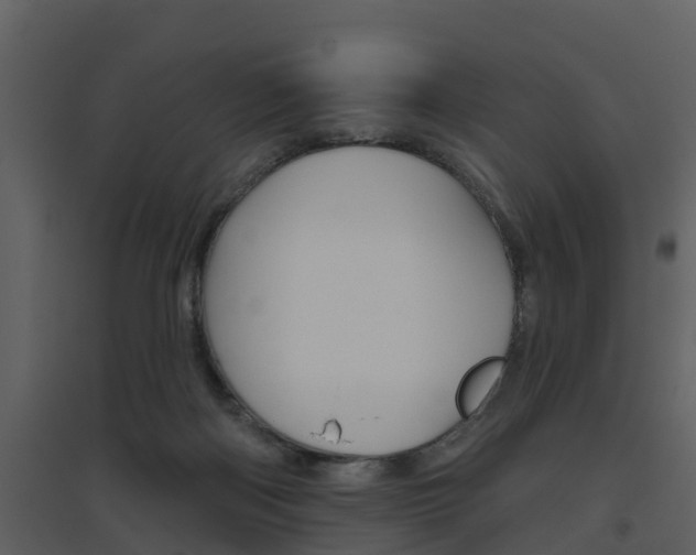 X0000094790122200711160926