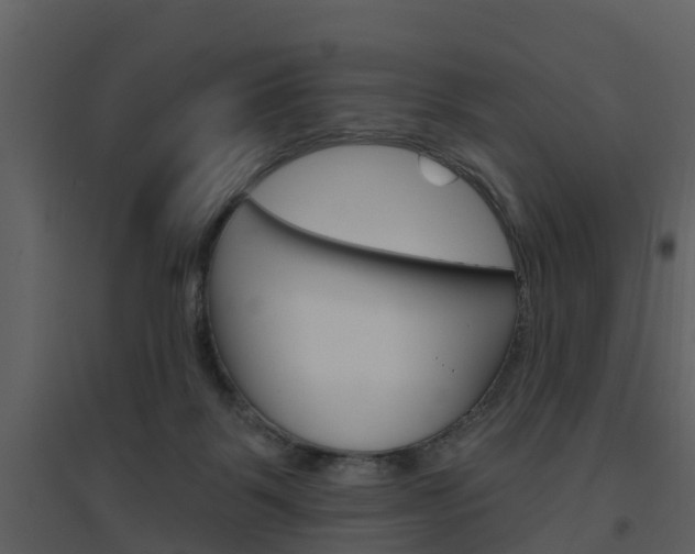 X0000094790123200711160926