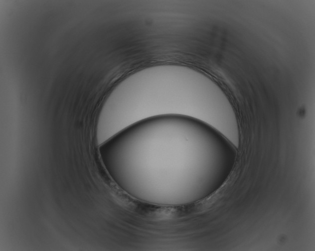 X0000094790124200711160926