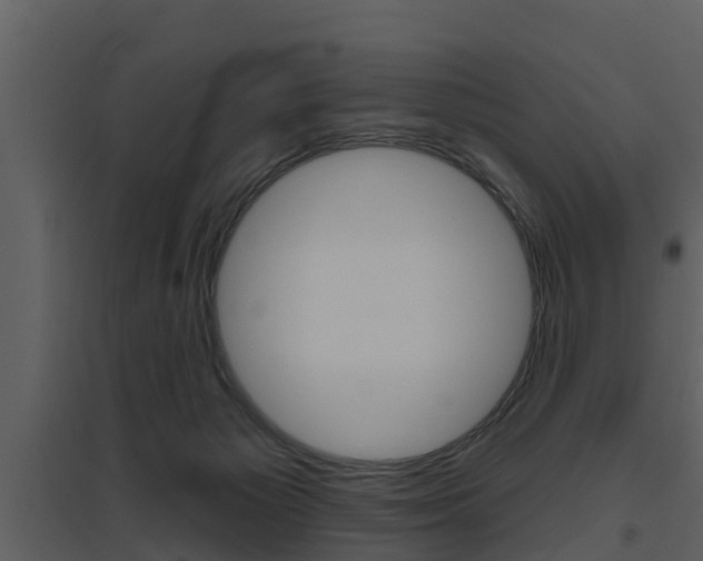 X0000094790125200711160926