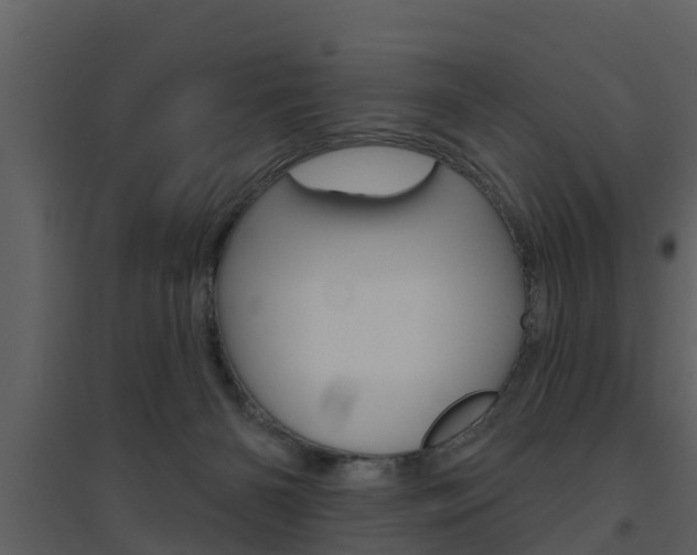X0000094790126200711160926