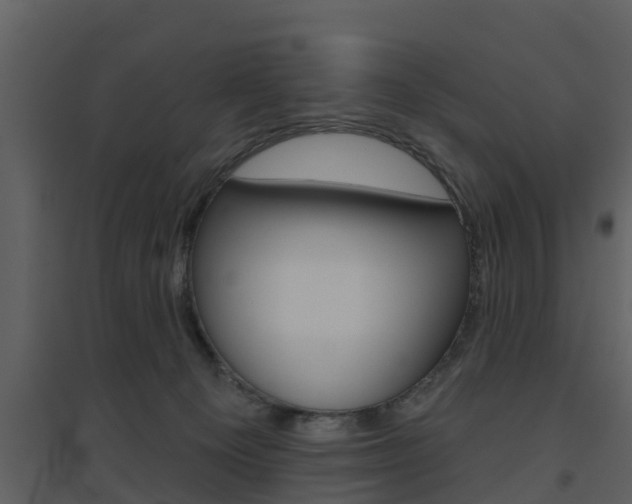 X0000094790129200711160926