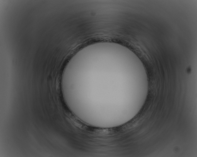 X0000094790131200711160926