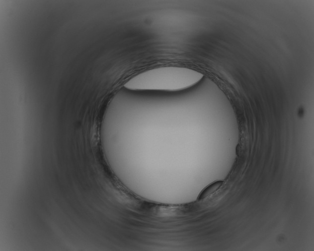 X0000094790134200711160926