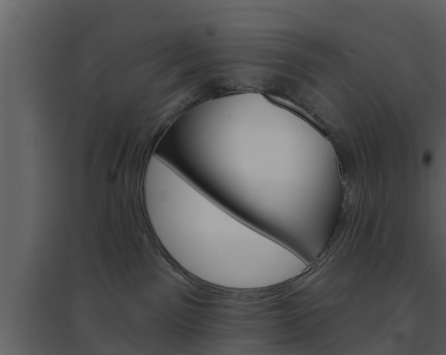 X0000094790141200711160925