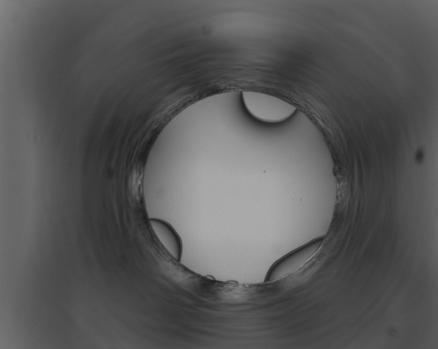 X0000094790142200711160925
