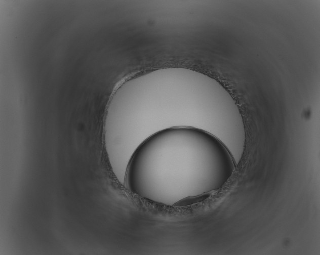 X0000094790144200711160925